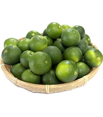 Amazon.co.jp: 徳島県産 すだち L～3L 1箱 1kg 低農薬・特別栽培